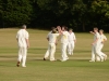 Wantage Cricket Club vs Britwell Salome 2013 175