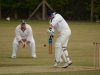 Wantage Cricket Club vs Britwell Salome 2013 183