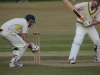 Wantage Cricket Club vs Britwell Salome 2013 204