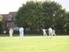 Wantage Cricket Club vs Harwell 2011 092